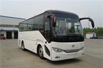 安凯HFF6819KDE5B客车(柴油国五24-34座)