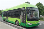安凯HFF6120G03FCEV公交车(燃料电池20-39座) 安凯HFF6120G03FCEV公交车(燃料电池20-39座)