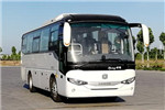 中通LCK6906H6A1客车(柴油国六24-40座)