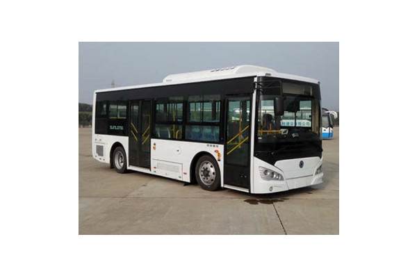 申龙SLK6819UBEVC1公交车(纯电动15-29座)