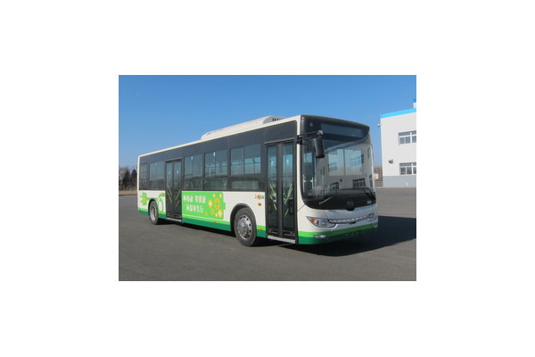 黄海DD6109EV9公交车(纯电动20-32座)