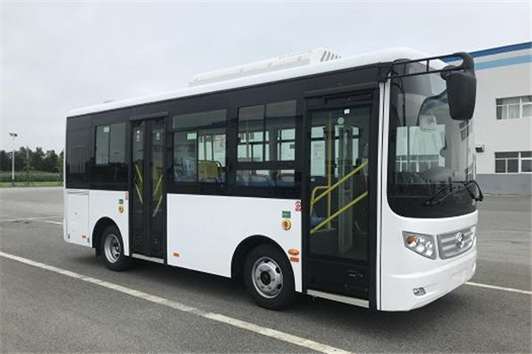 黄海DD6687EV1公交车(纯电动10-16座)