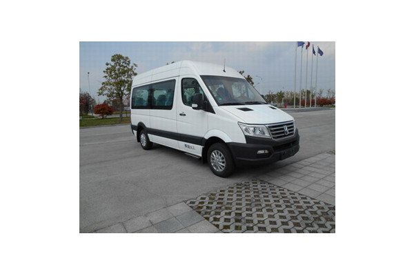 亚星YBL6591QYP客车(柴油国五10-18座)
