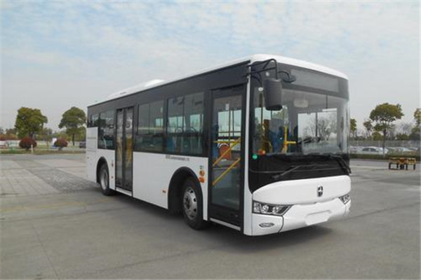 亚星JS6851GHBEV19公交车(纯电动14-30座)