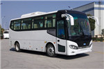 南京金龙NJL6822EV客车(纯电动24-36座) 南京金龙NJL6822EV客车(纯电动24-36座)