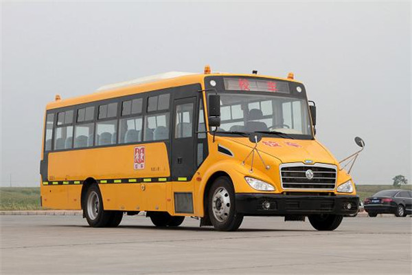 东风旅行车DFA6938KX5M小学生专用校车(柴油国五24-51座)