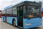 金龙XMQ6127AGBEVL10公交车(纯电动21-46座) 金龙XMQ6127AGBEVL10公交车(纯电动21-46座)