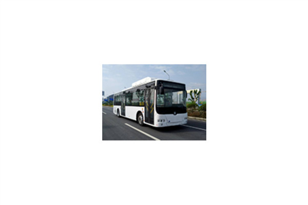 中车电动TEG6106BEV21公交车(纯电动10-36座)