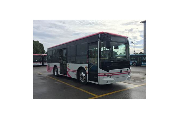 申龙SLK6859ULE0BEVS1公交车(纯电动10-29座)