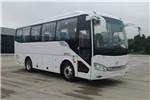 海格KLQ6829KAE61客车(柴油国六24-36座)