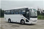 海格KLQ6829KAE60客车(柴油国六24-36座)
