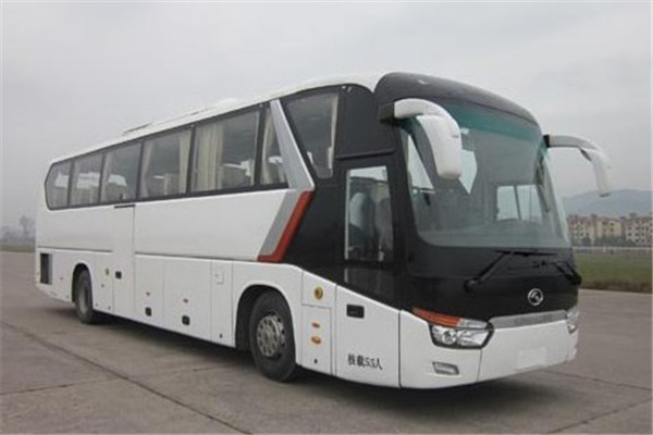 金龙XMQ6129BYD5D1客车(柴油国五24-56座)