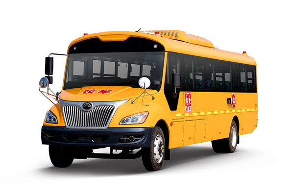 宇通ZK6995DX62小学生专用校车(柴油国六24-56座)