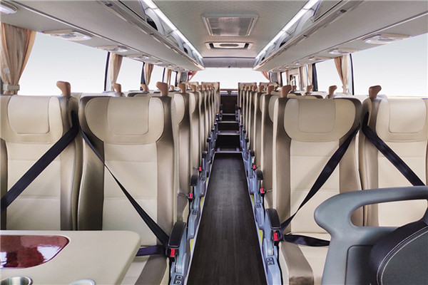 中通LCK6116EVGB公交车(纯电动24-52座)