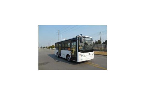 亚星JS6618GHBEV公交车(纯电动9-12座)