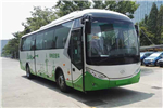 武汉WH6101BEV客车(纯电动24-50座)