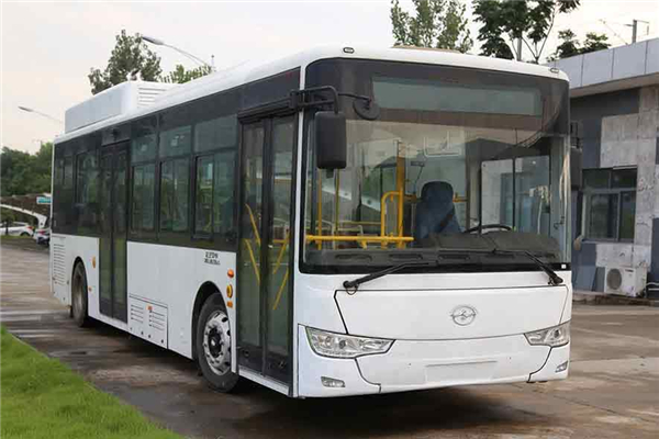 武汉WH6102GBEV公交车(纯电动19-40座)