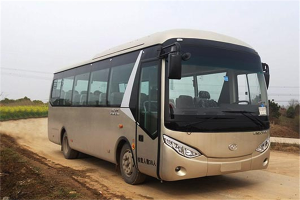 武汉WH6801BEV客车(纯电动24-38座)