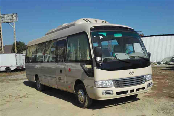 武汉WH6802BEV客车(纯电动24-35座)