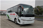安凯HFF6900A6D6Y客车(柴油国六24-40座)