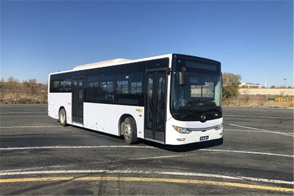 黄海DD6109EV17公交车(纯电动19-41座)