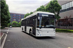 中兴GTZ6109BEVB1公交车(纯电动25-39座)