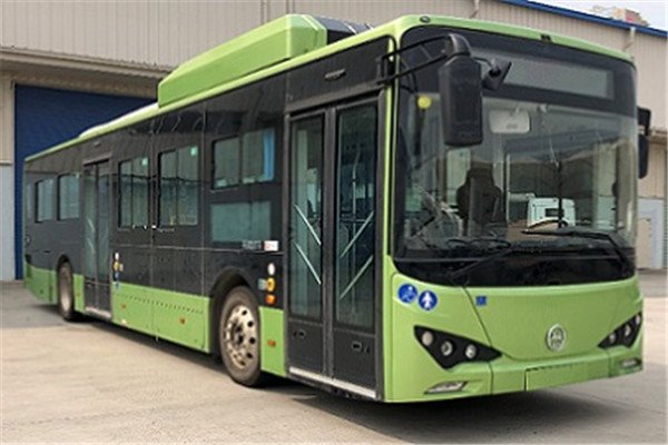 天津比亚迪TJK6120GCLEV低入口公交车(纯电动23-45座)