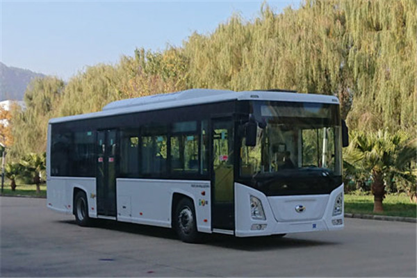 五龙FDE6101PBABEV01低入口公交车(纯电动17-36座)