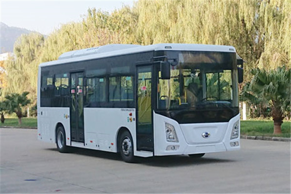 五龙FDE6851PBABEV02公交车(纯电动13-28座)