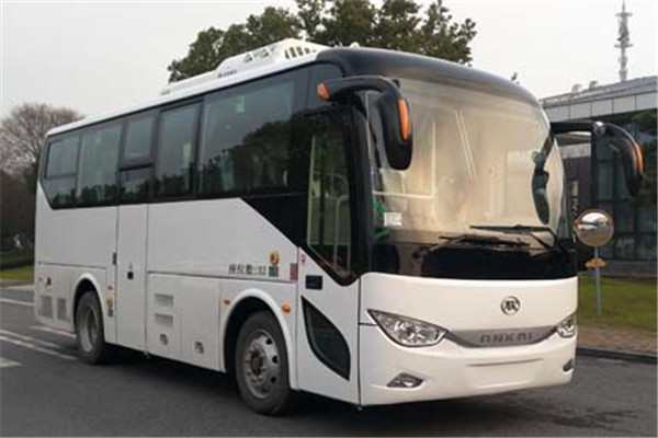 安凯HFF6829A6EV21公交车(纯电动24-36座)