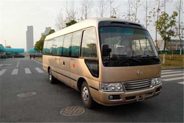 安凯HFF6701KQE4FB客车(汽油国四10-23座)