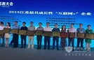 龙蟠荣获最具成长性“互联网+”称号